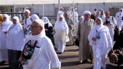 النقل السياحي: انتشار لجان الوزارة بالموانئ لتسهيل سفر المعتمرين