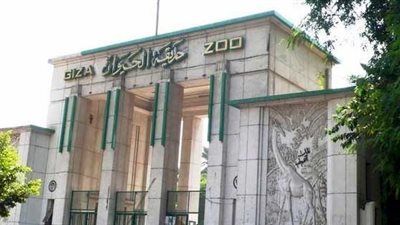 «التجاري الدولي» يتقدم بمشروع لتطوير حديقة الحيوان وزيادة دخلها