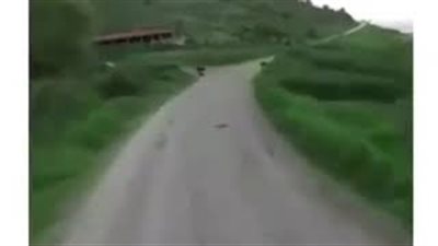 رد فعل رجل لحظة هجوم الكلاب عليه (فيديو)