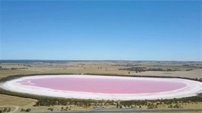 بالفيديو.. لقطات مذهلة لبحيرة باللون الوردي في أستراليا