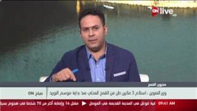 بالفيديو.. «التموين»: توريد 3 ملايين طن قمح منذ بداية الموسم