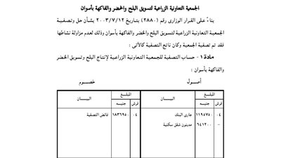 ميزانية التصفية للجمعية الزراعية لتسويق البلح والخضر والفاكهة بأسوان