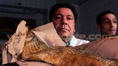 5 مخاطر لتناول الرنجة والفسيخ