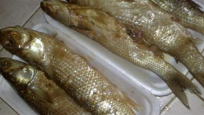 7 نصائح يجب اتباعها عند شراء وتقديم الفسيخ