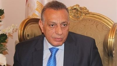 محافظ الجيزة يشكل لجنة لمنع التعديات على الأراضي الزراعية