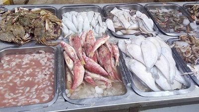 تراجع أسعار الأسماك واستقرار اللحوم