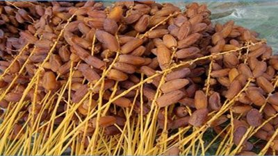 بيزنس «التمور».. بديل السكر وكلمة السر في وجبات التغذية «تقرير»