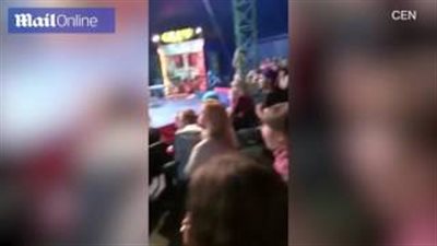 بالفيديو والصور.. دب سيرك يخرج عن السيطرة ويهاجم الجمهور