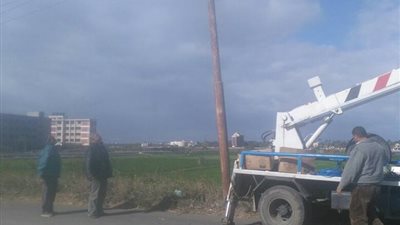 رفع أشجار ونخيل وأعمدة إنارة سقطت بسبب النوة بدمياط