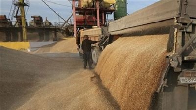 169 ألفا و236 طن حبوب وغلال بصومعة ميناء دمياط