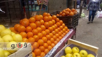 بالصور.. انخفاض أسعار الخضراوات وارتفاع الفاكهة في سوق الجيزة