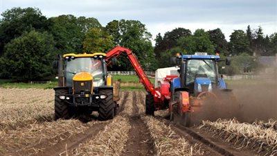 صحيفة: خروج بريطانيا من الاتحاد يعرقل تصدير تقاوي البطاطس لمصر