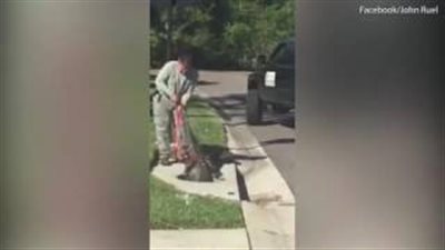 بالفيديو والصور.. إنقاذ تمساح علق ببالوعة