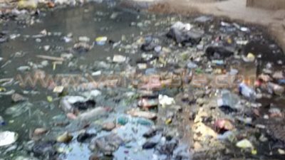 بالصور.. منازل قرية «العدلية» بالشرقية تغرق في مياه الصرف الصحي