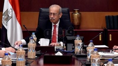 رئيس الوزراء يشيد بالمصريين في الخارج لمشاركتهم في الانتخابات