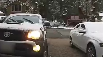 رد فعل رجل عثر على دب داخل سيارته (فيديو)