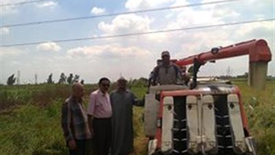 17 موقعا لتجميع قش الأرز في إدارة دكرنس الزراعية بالدقهلية