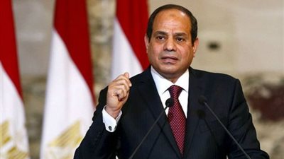 العلقامى: على السيسي استكمال إنجازاته والشباب قاطرة الأمل