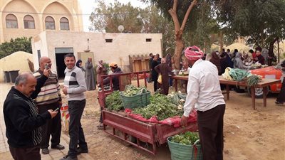 الوادي الجديد تنفذ سوقا أسبوعيا لمنتجات قرى الخارجة