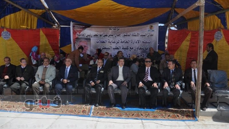 فيتو