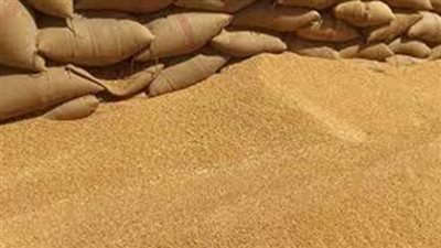 العراق يعيد طرح مناقصة لشراء 50 ألف طن قمح على الأقل
