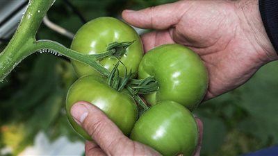 تركيا تخسر 2 مليار دولار بسبب روسيا