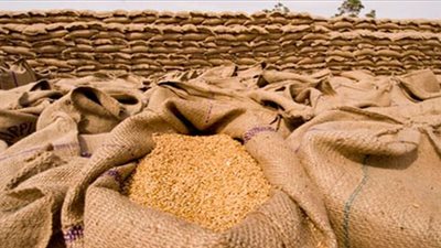 العراق يسعى لشراء 50 ألف طن قمح في مناقصة عالمية