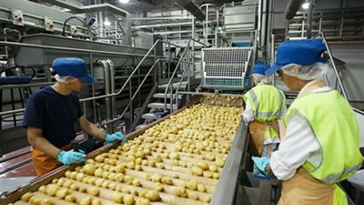 أبرز الدول المستوردة للصناعات الغذائية خلال فبراير