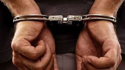 حبس موظف بمجلس الدولة بتهمة التحريض ضد الدولة