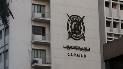 الإحصاء: 6 % زيادة بصادرات القطن خلال الموسم الزراعي 2017-2018