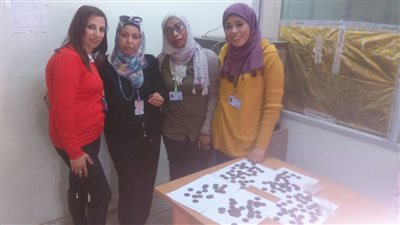 بالصور.. مصادرة 150 عملة أثرية لفلسطين واردة من إسرائيل