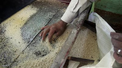 تخفيضات على الأرز والفول البلدي بمنافذ «الزراعة»