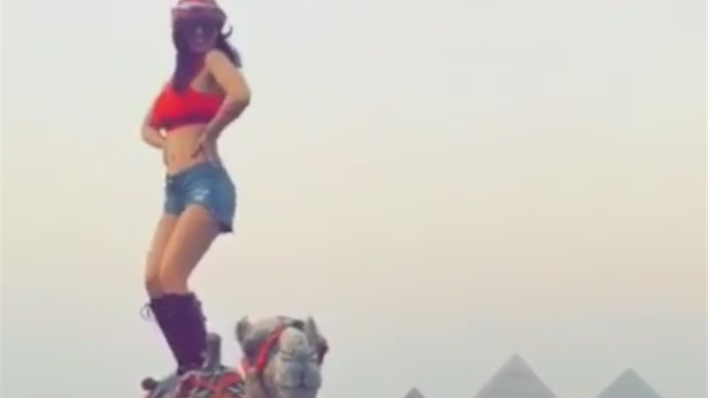 فيتو