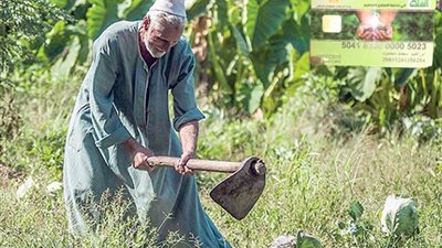 زراعة البرلمان تطالب بسرعة تفعيل كارت الفلاح الذكي