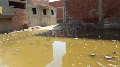 البر الثاني في المطرية يغرق في مياه الري (صور)