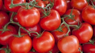 استقرار أسعار الخضراوات والفاكهة بسوق الجملة