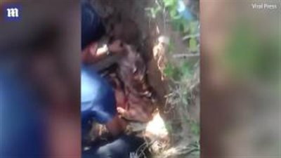 بالفيديو والصور.. العثور على طفل حديث الولادة بخزان صرف صحي