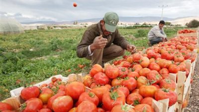 الزراعة الأردنية: لم نمنع التصدير إلى سوريا أو أية دولة أخرى