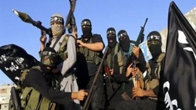 كريم عمارة: عناصر 