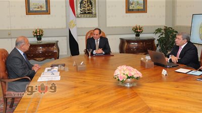 السيسي يكلف بتدبير الموارد المالية للانتهاء من نقل المدابغ للروبيكي