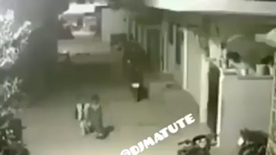 بالفيديو.. رد فعل طفل هاجمته مجموعة كلاب في الشارع