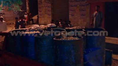 أهالي أبو حماد يمنعون سيارات الدواجن النافقة من الوصول لمزارع الأسماك