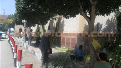 بالصور.. انتشار باعة سعف النخيل بمحيط كنائس بني سويف