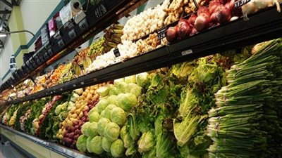 سمير النجاري: التعديلات الجمركية للمبيدات خطوة جيدة