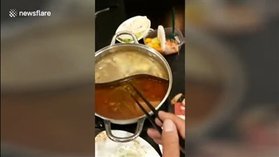 عثور امرأة على فأر في حسائها داخل مطعم (فيديو)