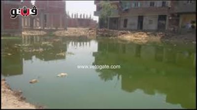 3 اقتراحات للحكومة لحل مشكلات المياه والصرف والكثافة السكانية (صوت)