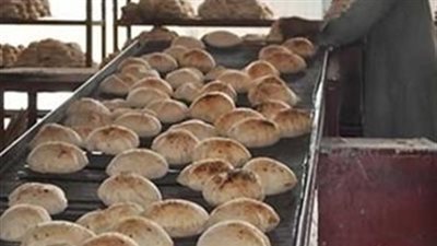«الشعبة العامة»: لم نتلق تعليمات لتعديل مواعيد المخابز خلال العيد