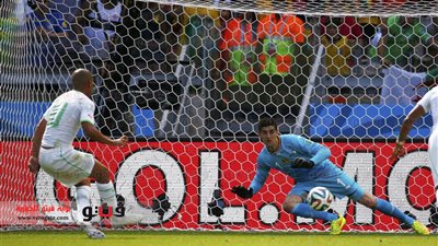 هدف «فيجولي» في بلجيكا الأول للجزائر منذ مونديال 1986