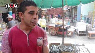 ارتفاع أسعار الأسماك في أسواق الجيزة (فيديو)