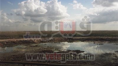 بالصور..«مريوط.. بحيرة تموت إكلينيكًا».. البحيرة الأصغر في مصر تعود للعصر الروماني.. 85 مصنعًا تلقي مخلفاتها بها.. ردم أجزاء منها وبيعها لرجال أعمال.. تشريد الصيادين ونفوق الأسماك أبرز التحد